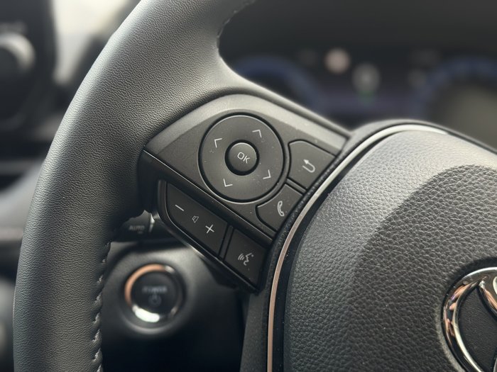 2024 Toyota RAV4 Cruiser