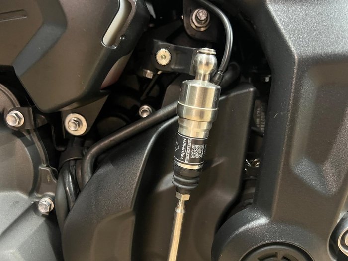 2025 TRIUMPH TRIDENT 660 White