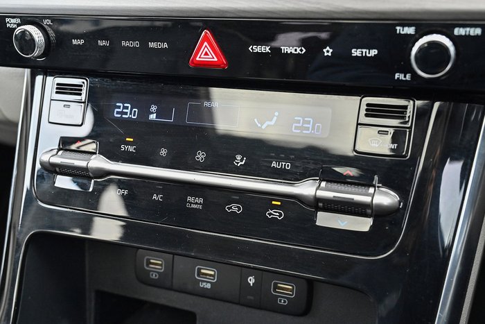 2021 Kia Carnival Platinum