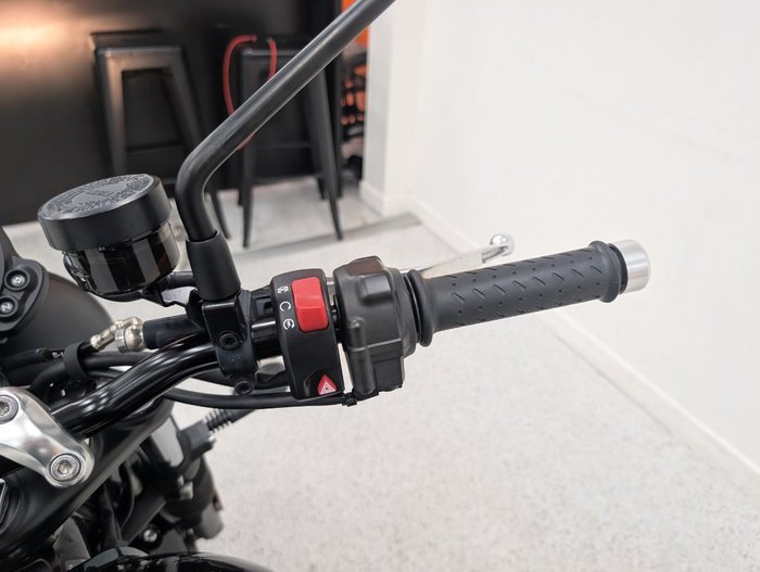 2024 Triumph 2024 Triumph 900CC Speed Twin 900 MATT KHAKI GREEN