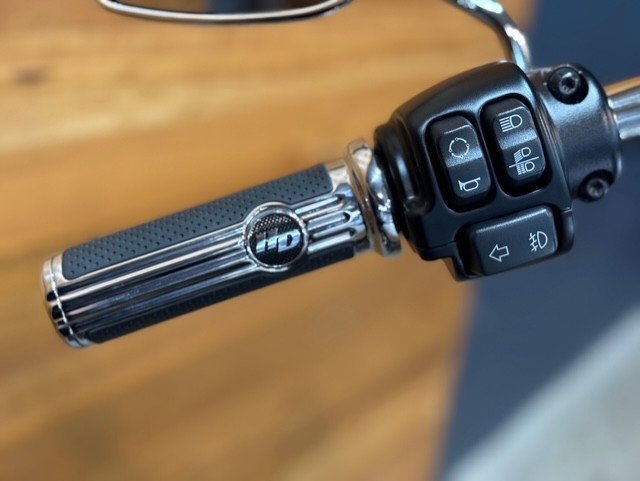 2020 HARLEY-DAVIDSON FLDE DELUXE (107)