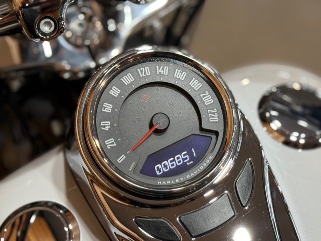 2020 HARLEY-DAVIDSON FLDE DELUXE (107)