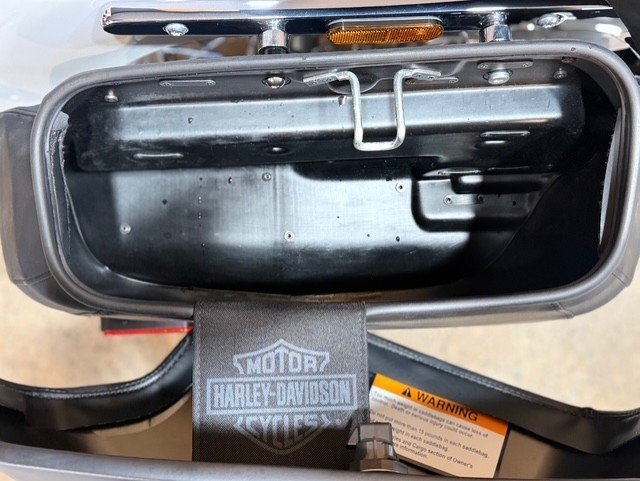 2020 HARLEY-DAVIDSON FLDE DELUXE (107)