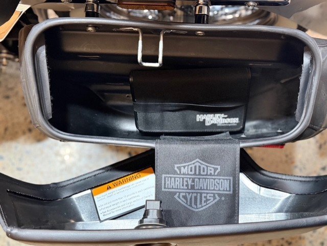 2020 HARLEY-DAVIDSON FLDE DELUXE (107)