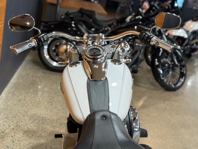 2020 HARLEY-DAVIDSON FLDE DELUXE (107)