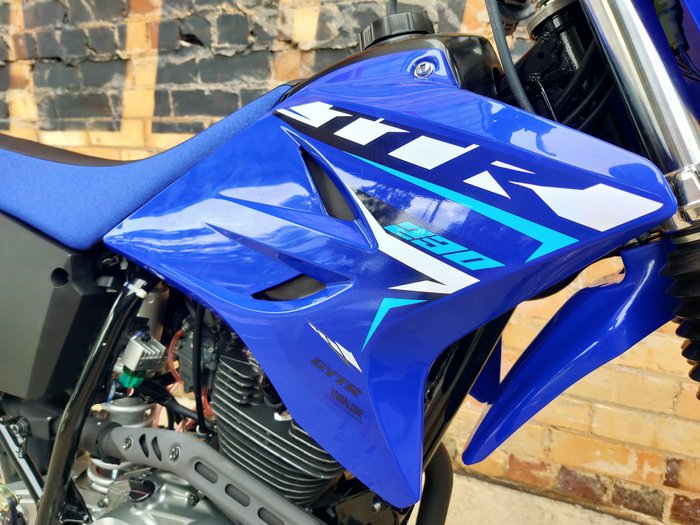 2026 YAMAHA TT-R230 FARM/FUN BLUE