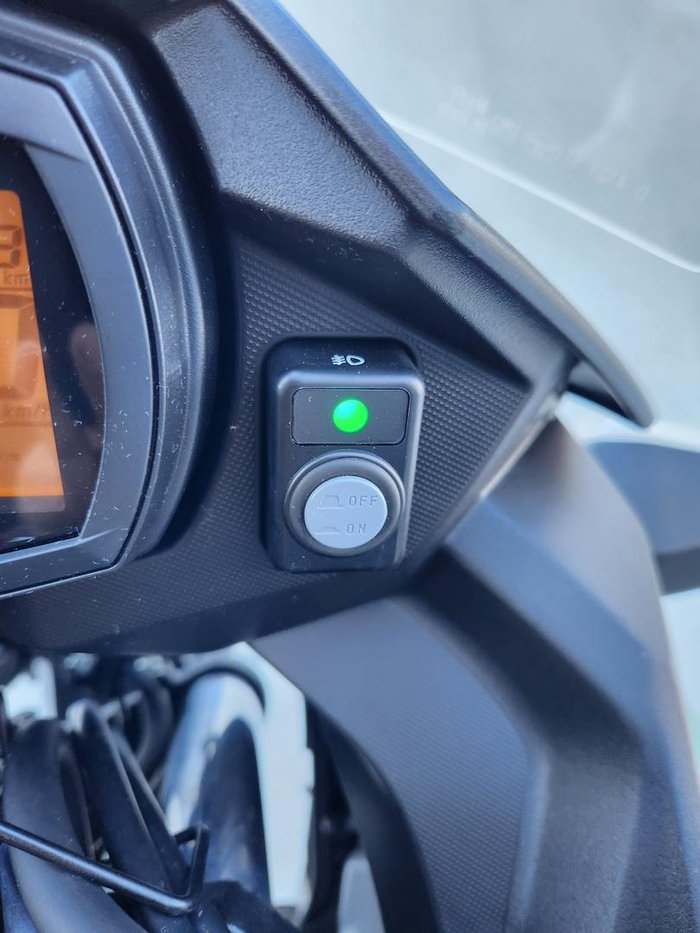 2022 Kawasaki Versys-X 300 (KLE300C) Versys Green