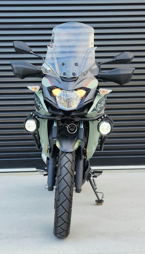 2022 Kawasaki Versys-X 300 (KLE300C) Versys Green