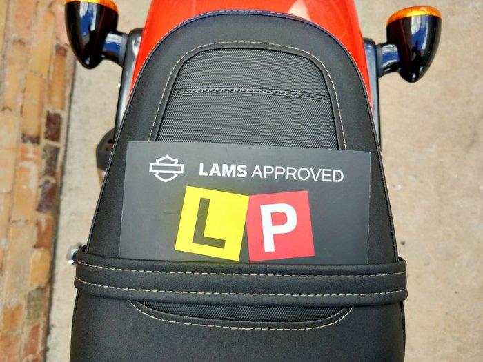 2024 HARLEY-DAVIDSON X 500 ROAD ORANGE