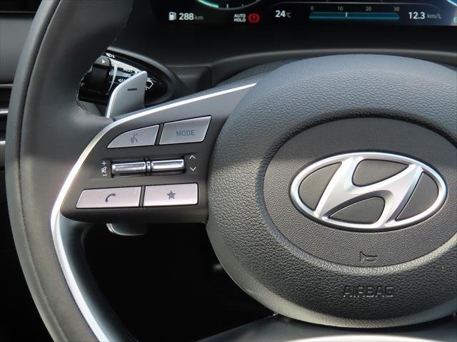 2024 Hyundai Palisade Calligraphy Black Ink