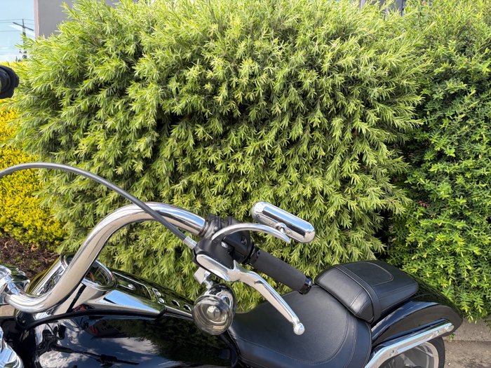 2024 HARLEY-DAVIDSON FLFBS FAT BOY S (114)