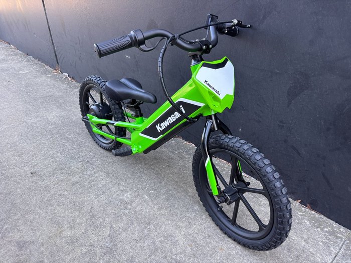 2025 Kawasaki Kawasaki Elektrode 16 (KSK030ARFNN) GREEN