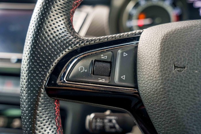 2019 SKODA Fabia 81TSI