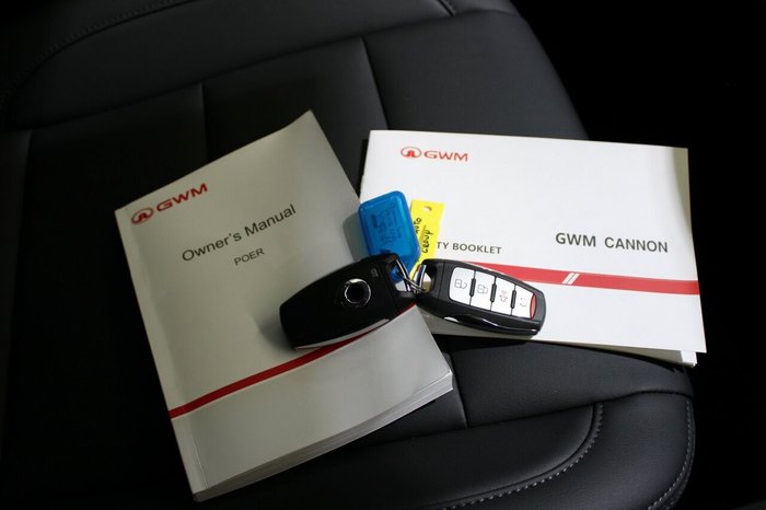 2025 GWM Cannon