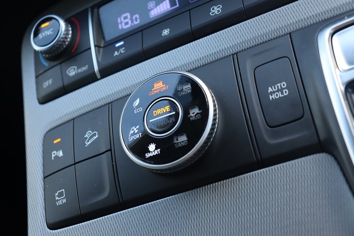 2020 Hyundai Palisade (8 Seat)