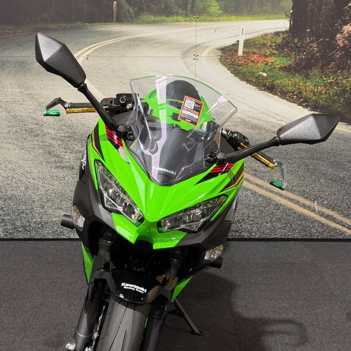 2019 Kawasaki NINJA 400 SE Green
