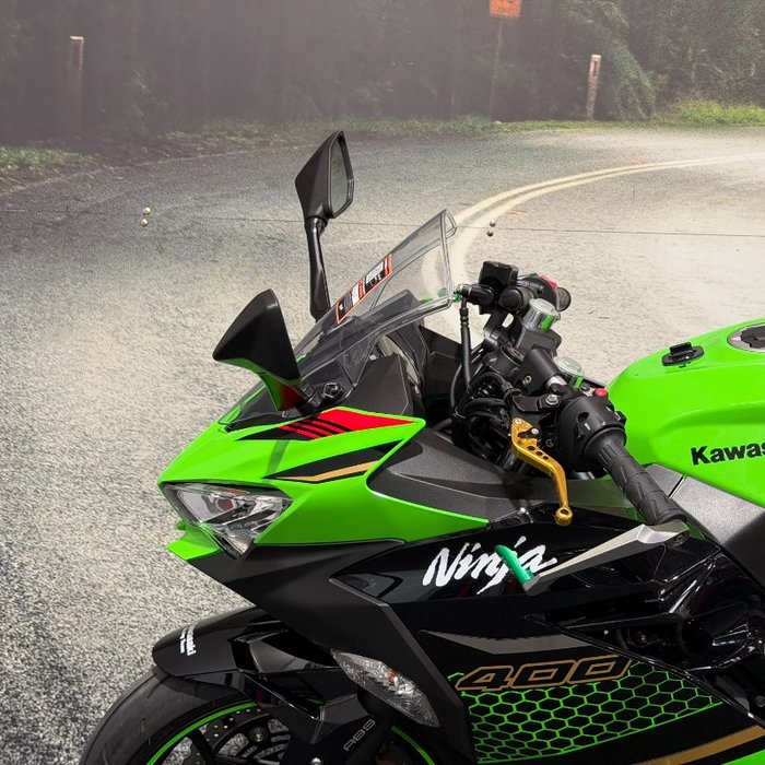2019 Kawasaki NINJA 400 SE Green