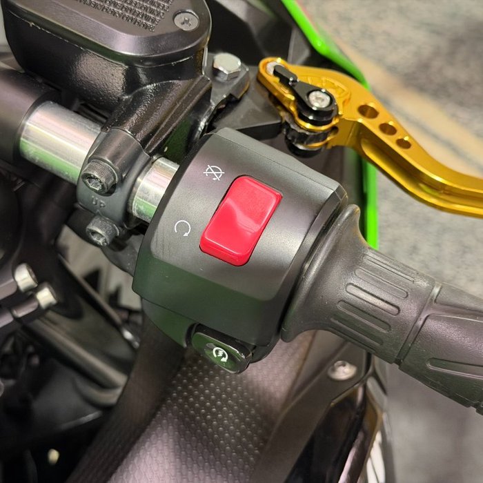 2019 Kawasaki NINJA 400 SE Green