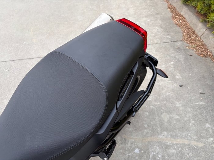 2019 Indian FTR 1200 S RED STEEL GRAY Red