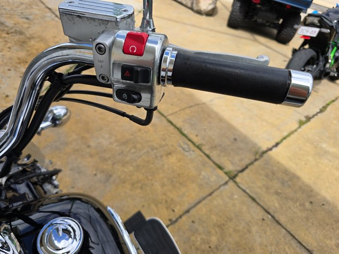 2008 YAMAHA XVS1100A V-STAR CLASSIC Black