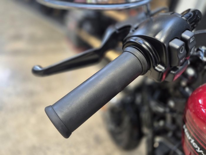 2018 Harley-Davidson Forty-Eight Special (XL1200XS) Sportster Red