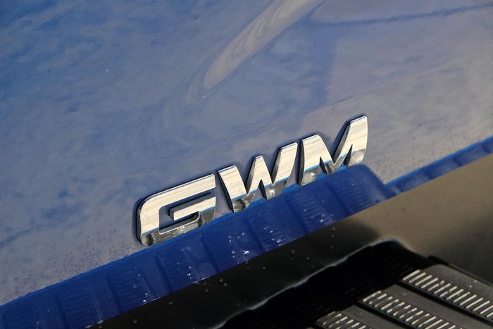 2021 GWM Ute Cannon-L