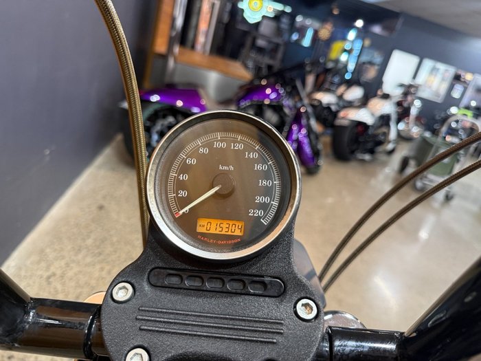 2013 HARLEY-DAVIDSON XL883 IRON 883