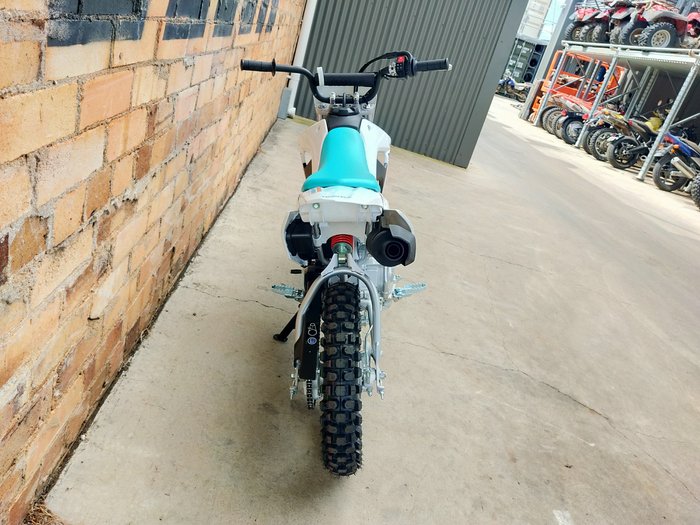 2025 HONDA CRF110F MINI BIKE WHITE