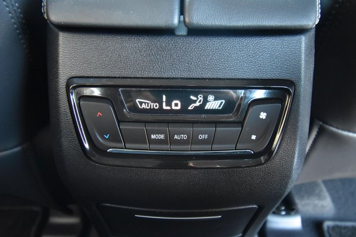 2021 LDV D90
