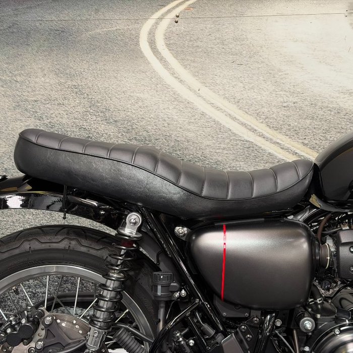 2021 Kawasaki W800 STREET (EJ800) Black