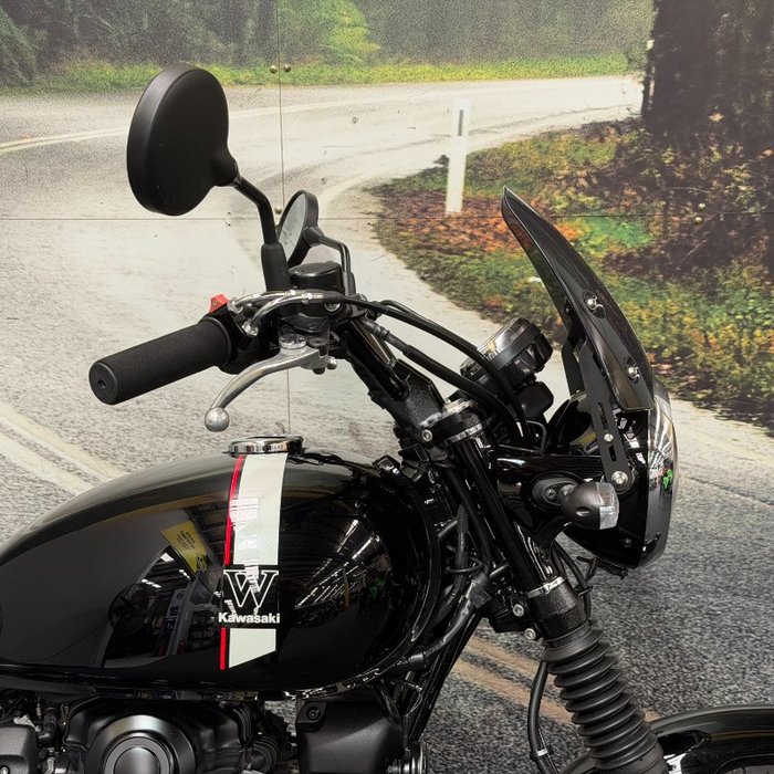 2021 Kawasaki W800 STREET (EJ800) Black