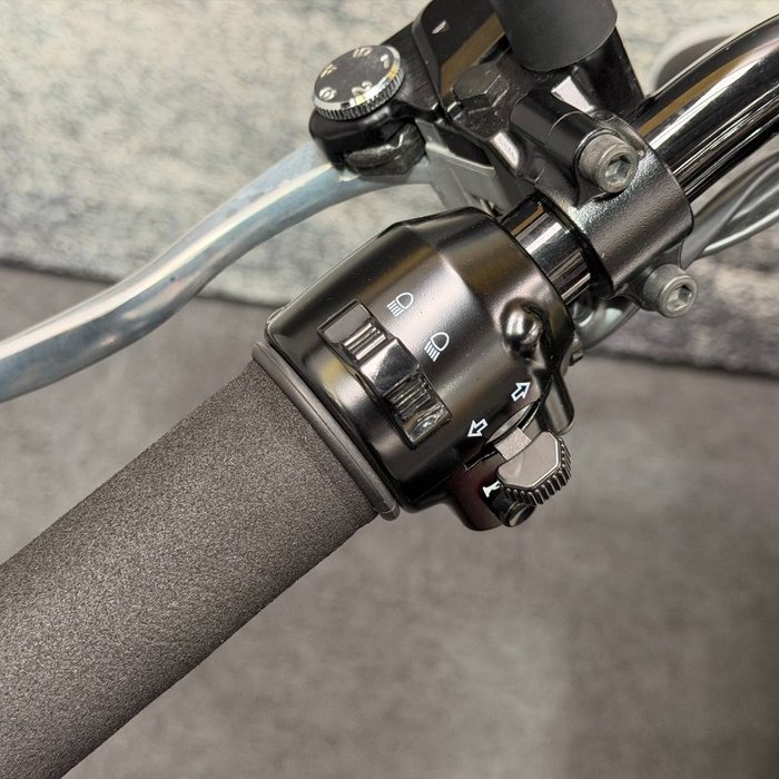 2021 Kawasaki W800 STREET (EJ800) Black