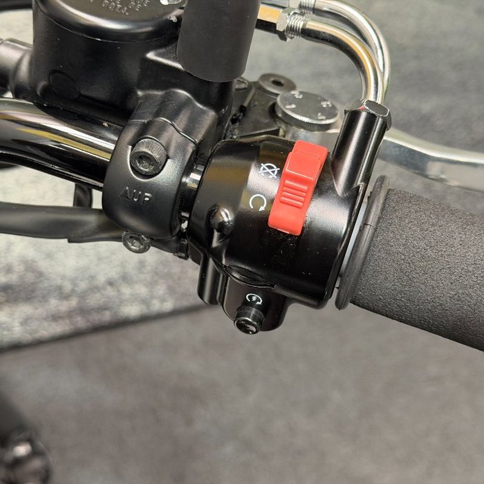 2021 Kawasaki W800 STREET (EJ800) Black