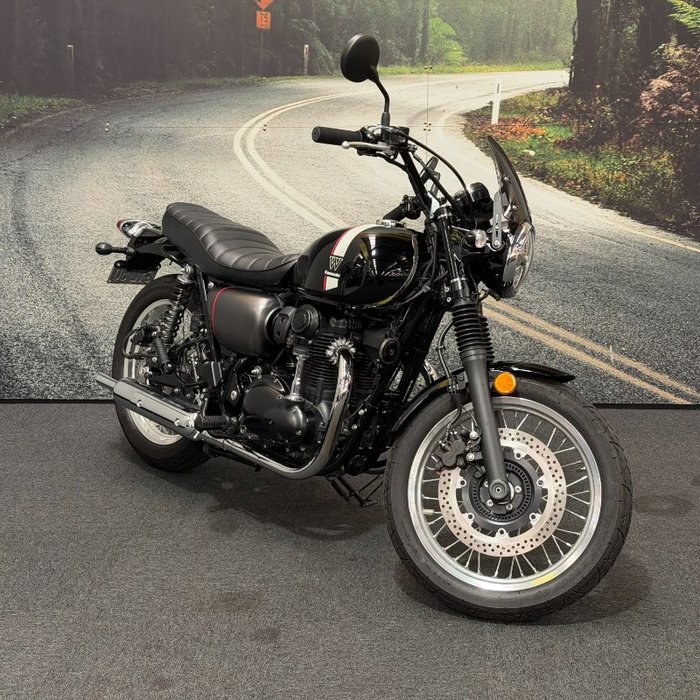 2021 Kawasaki W800 STREET (EJ800) Black