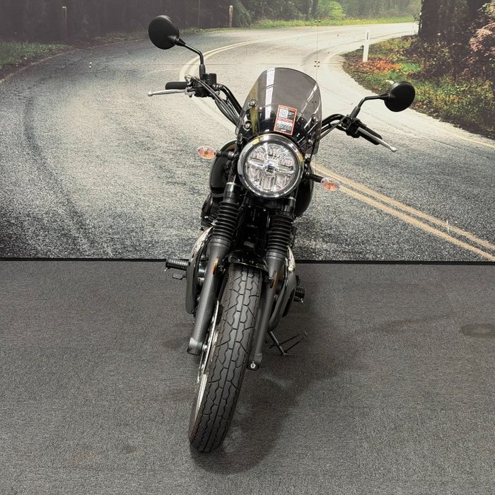 2021 Kawasaki W800 STREET (EJ800) Black