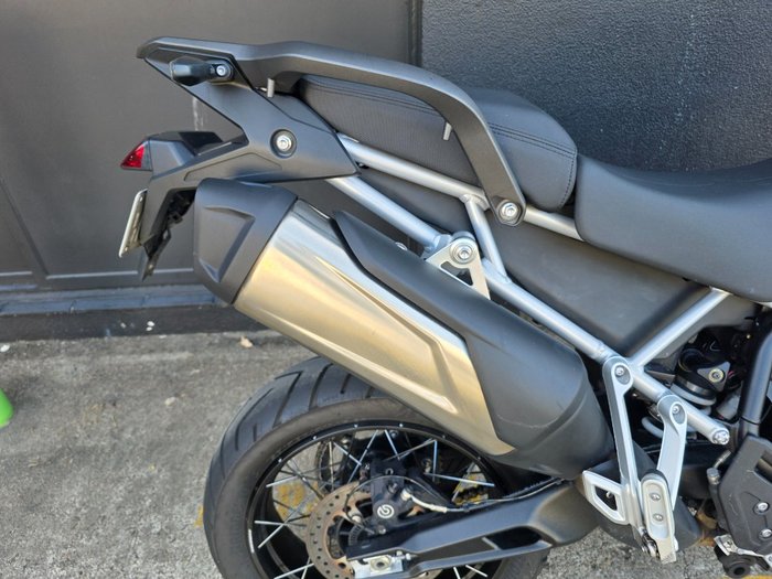 2023 Triumph TIGER 900 RALLY WHITE