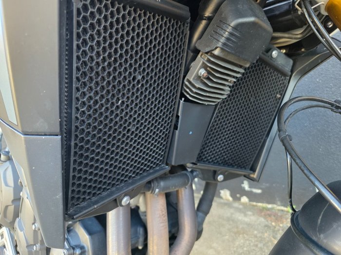 2023 Triumph TIGER 900 RALLY WHITE