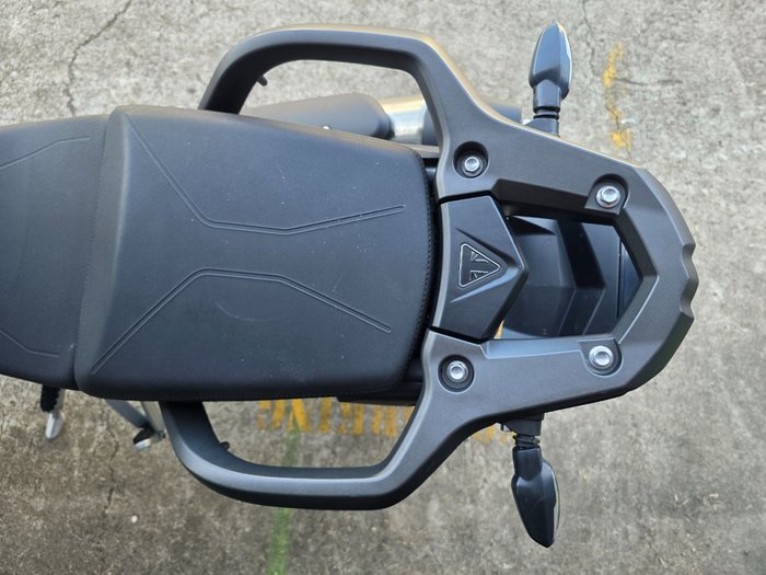 2023 Triumph TIGER 900 RALLY WHITE