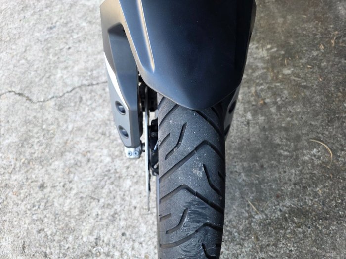 2023 Triumph TIGER 900 RALLY WHITE