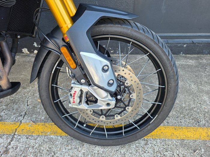 2023 Triumph TIGER 900 RALLY WHITE