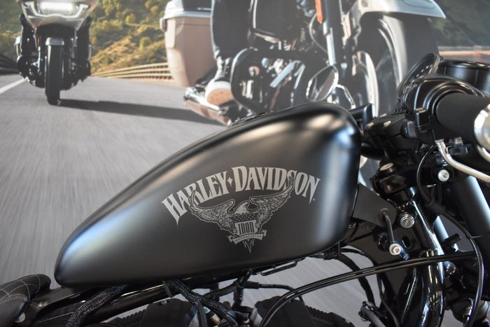 2017 HARLEY-DAVIDSON XL883N IRON 883