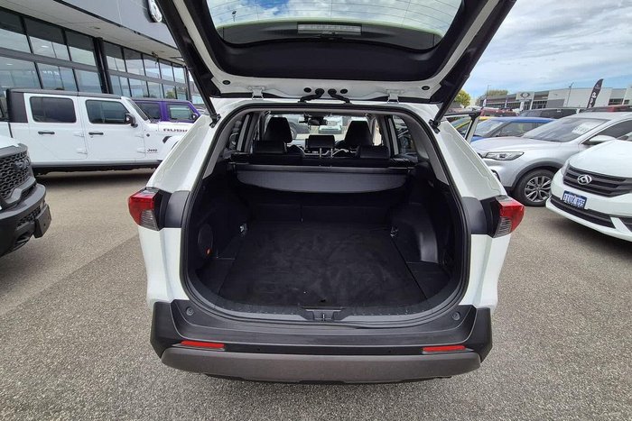 2019 Toyota RAV4 Cruiser