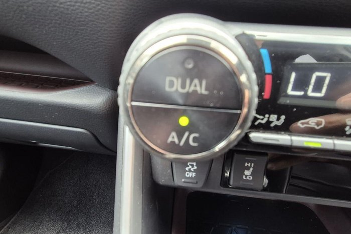 2019 Toyota RAV4 Cruiser