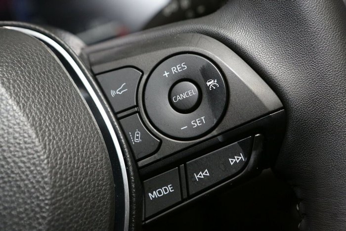 2025 Toyota RAV4 Cruiser