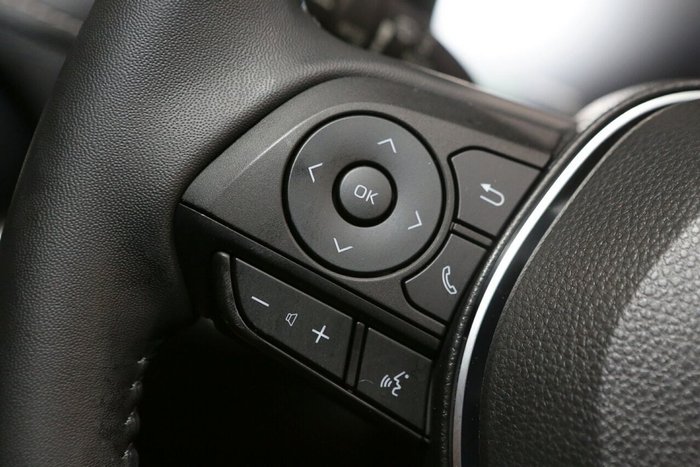2025 Toyota RAV4 Cruiser