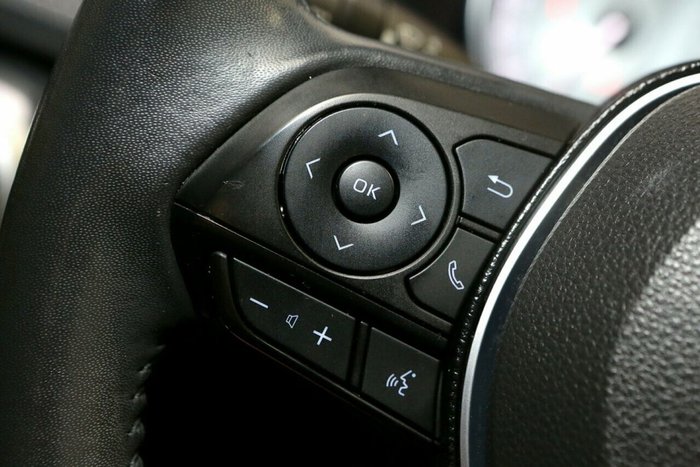 2020 Toyota RAV4 Cruiser