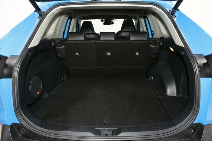 2020 Toyota RAV4 Cruiser