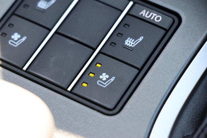 2024 Lexus UX 250h Sport Luxury