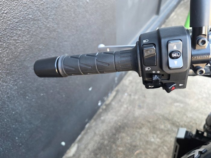 2022 Kawasaki Z900RS (ZR900C) GREEN