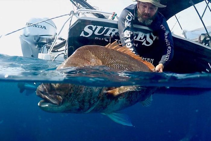 2024 Surtees 495 Workmate